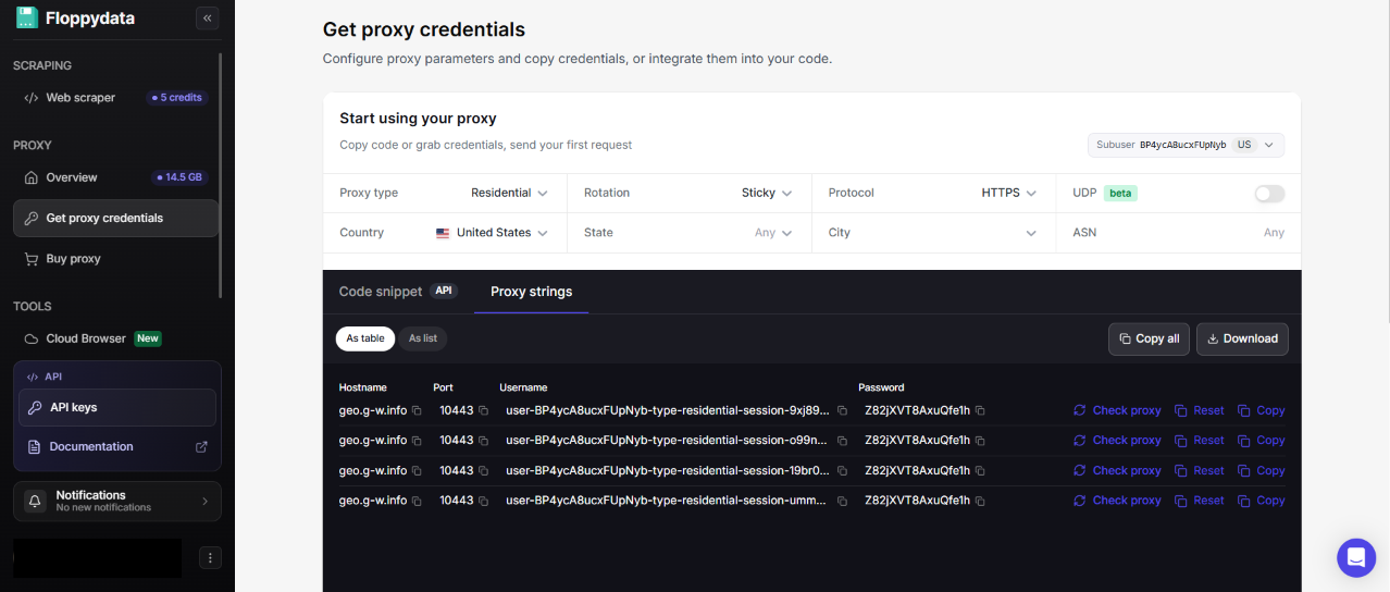 Proxy credentials configuration interface