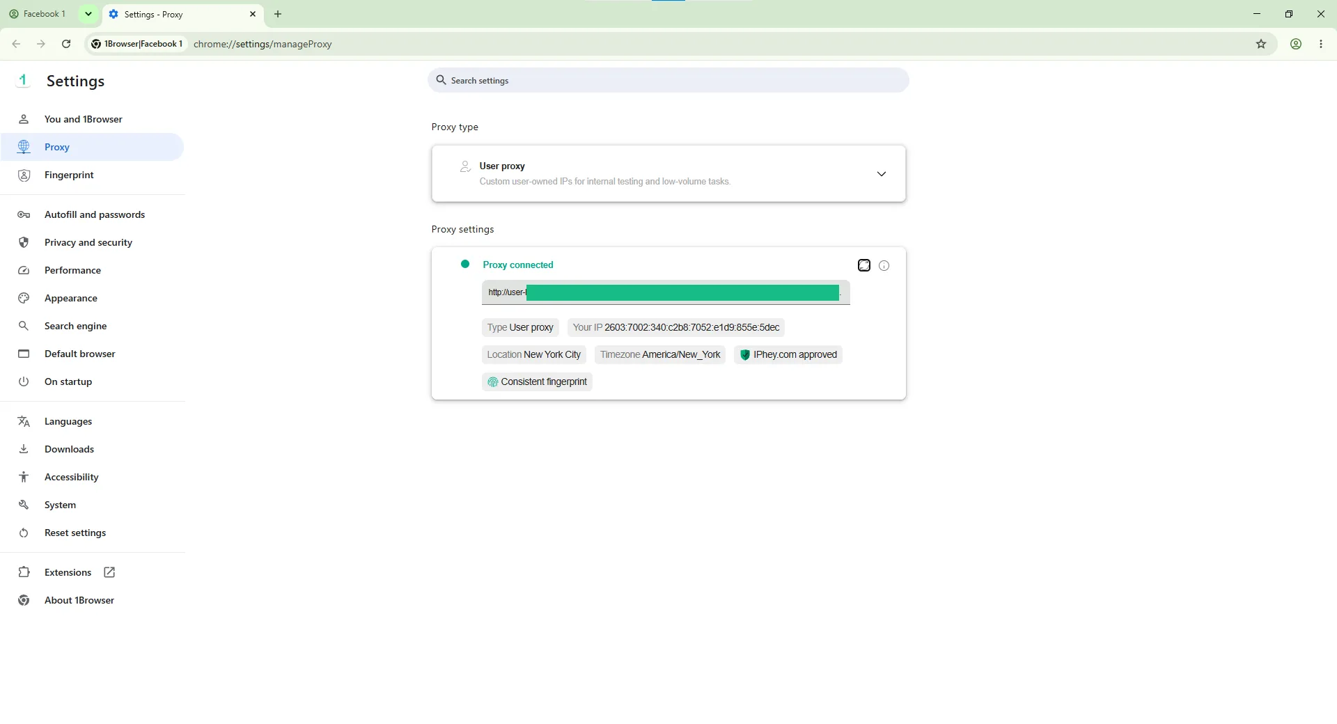 Browser settings with proxy configuration